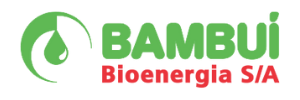 Destilaria Bambuí Logo